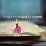 Viver o dia… Viver o momento… de cada vez!